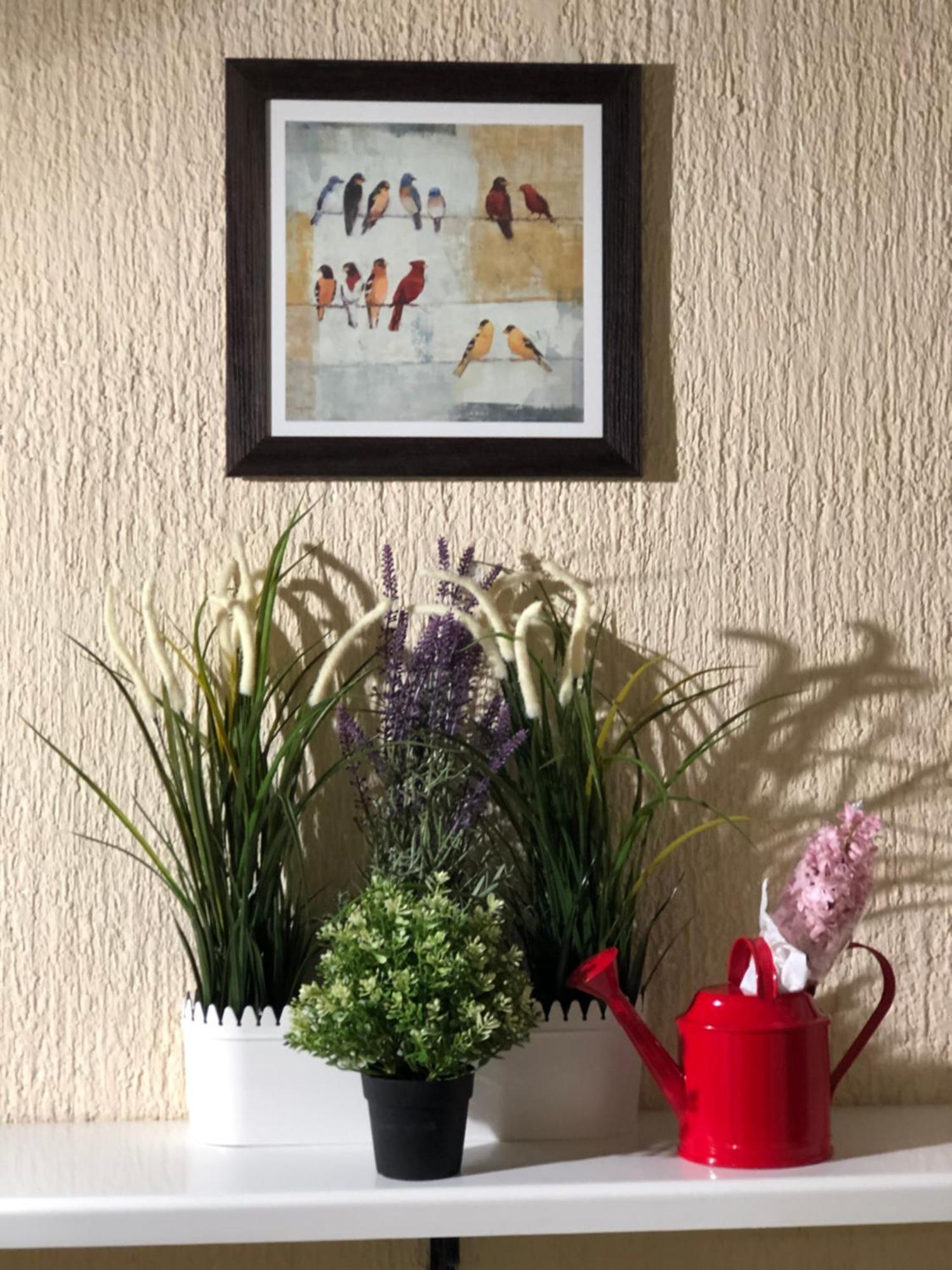 בלגרד Amn Center Apartment מראה חיצוני תמונה